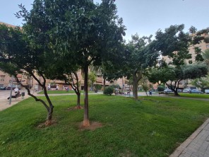 Vistas